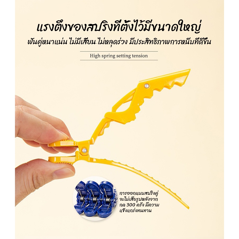 รูปภาพ 8