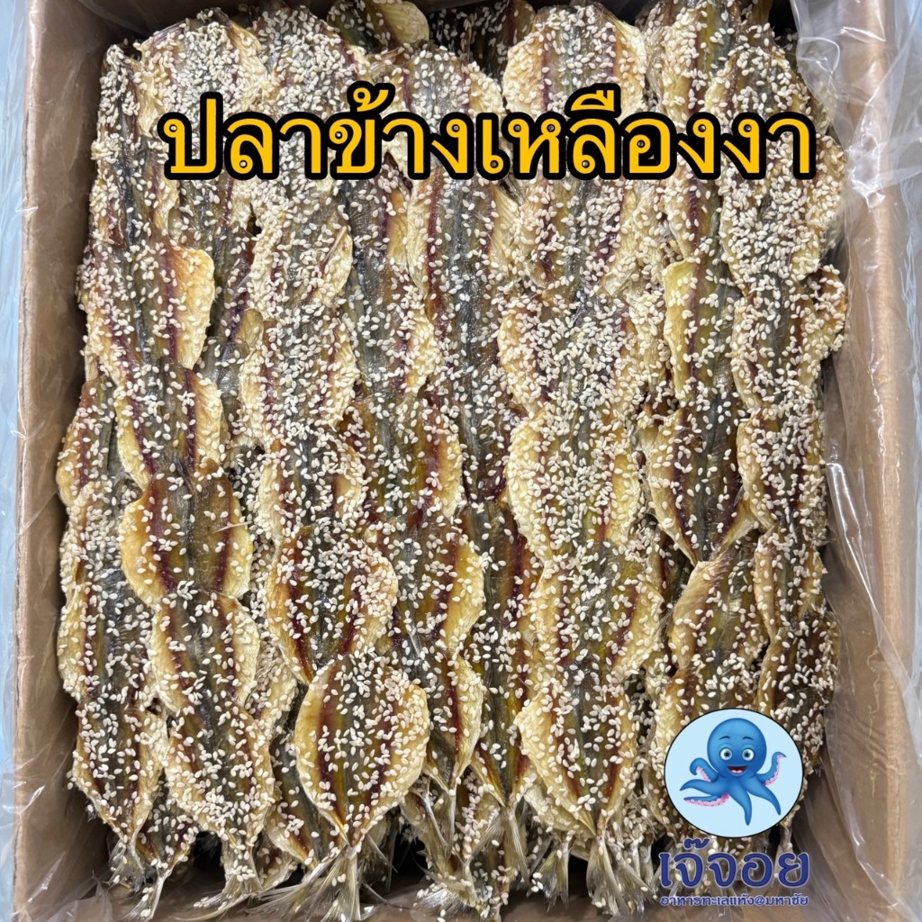 ปลาข้างเหลืองงา ปลากิมสั่วหวานงา ขนาด 200-500 กรัม