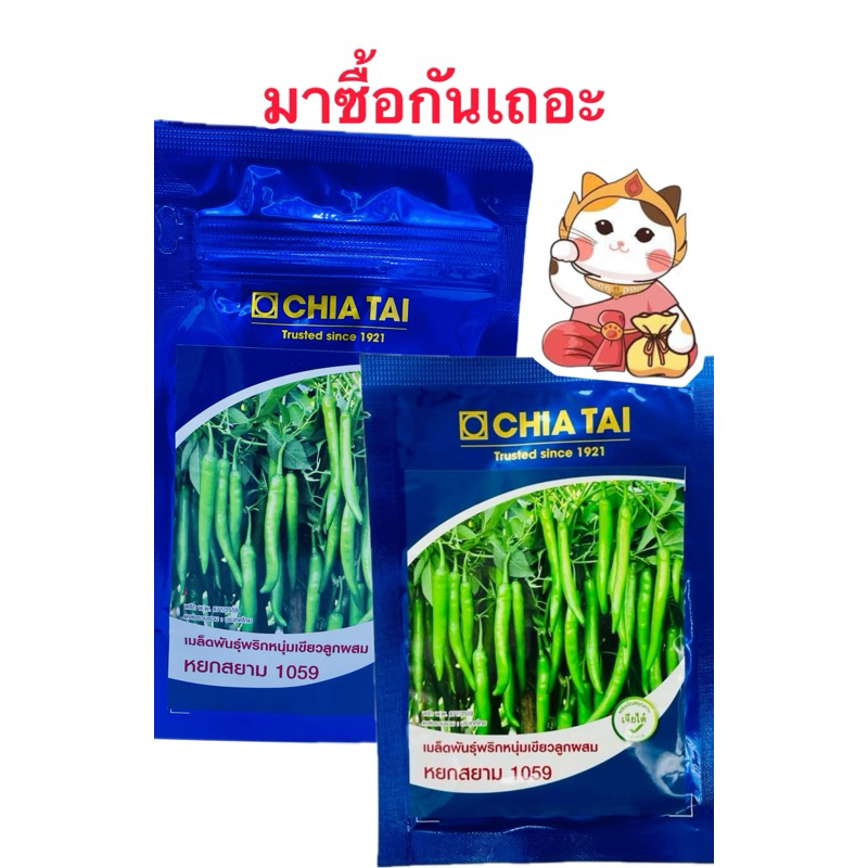 เมล็ดพันธุ์ พริกหนุ่มเขียว ลูกผสม หยกสยาม1059 ตราเครื่องบิน บริษัท เจียไต๋ ขนาด20กรัม/ซอง