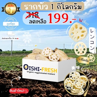 🛒Oishi-Fresh 🥬รากบัว ปลอดสารพิษ 1 กก. รสชาติกรอบ สด ใหม่ ใยอาหารสูง หวานออร์แกนิค ผัก เคลมได้ 1-2 วัน