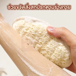 【VINIMALL คุณภาพดี】YB07 ฟองน้ำขัดผิวใยบวบธรรมชาติ ขัดผิวสะอาด เนียนนุ่ม ผลัดเซลล์ผิวอย่างอ่อนโยน