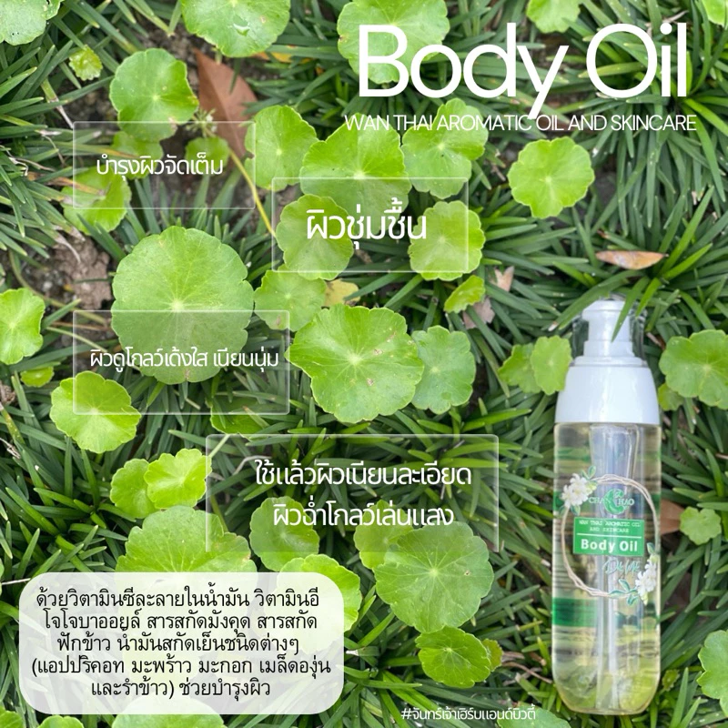 Body oil บอดี้ออยว่านไทยอโรมาติกออยแอนด์สกินแคร์ thumbnail 5