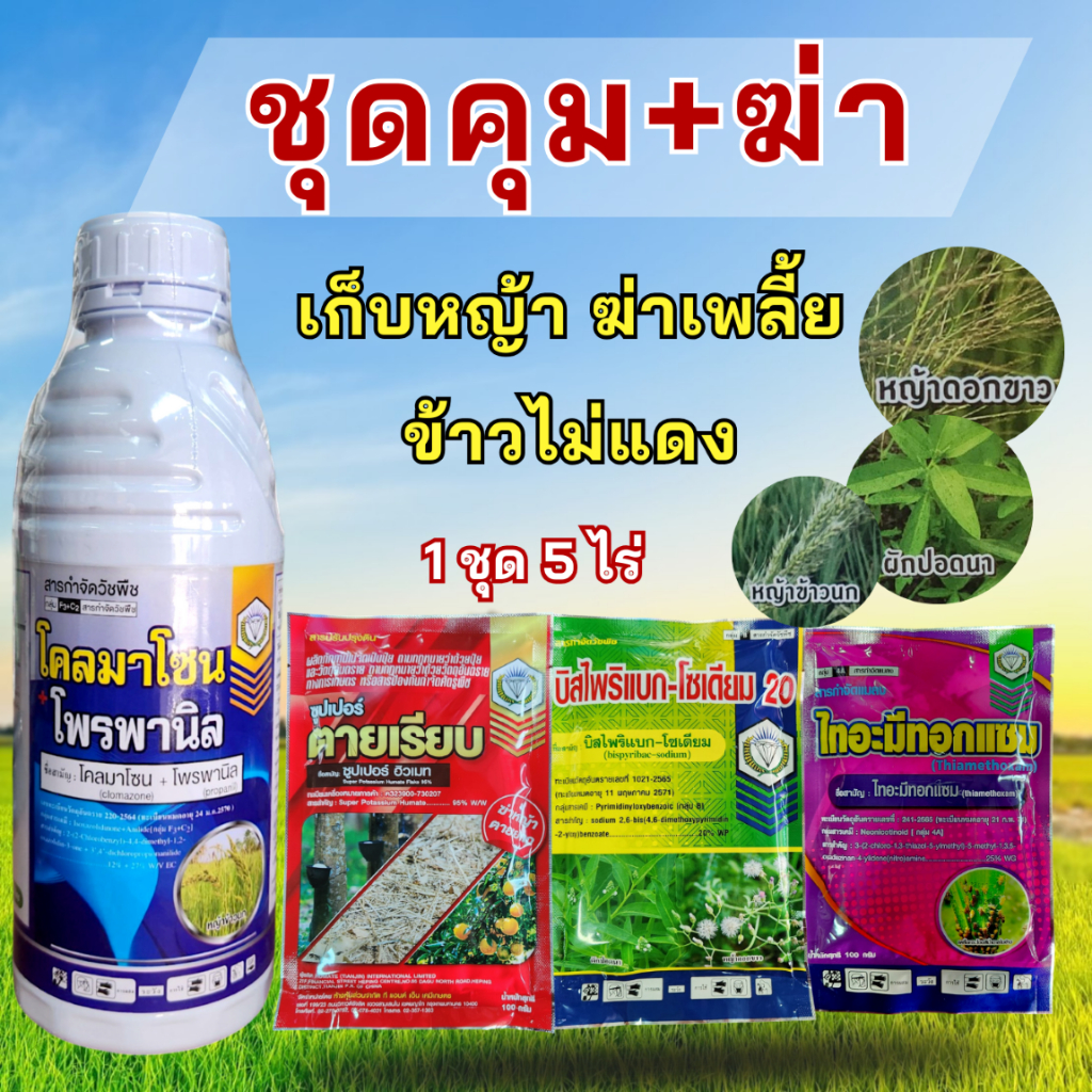 ชุดคุมฆ่าหญ้า 7-14วัน เก็บหญ้า ฆ่าเพลี้ย ข้าวไม่แดง ครบในชุดเดียว