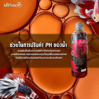 น้ำหมักใบหูกวางสูตรเข้มข้น Giants Better น้ำหมักปลากัด ลดความเครียด ปลาคึก หวอดหนา ปรับค่า PH ในน้ำได้ดี