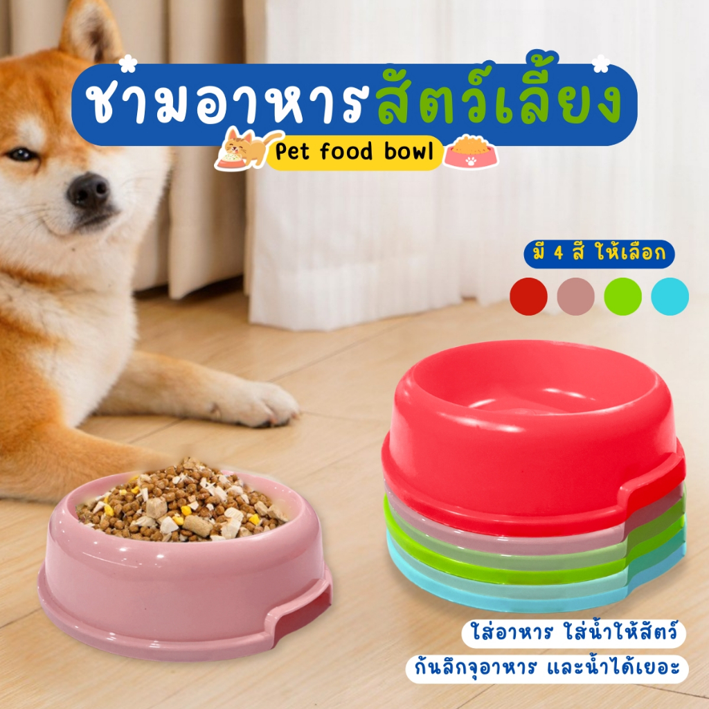 ชามอาหารสัตว์แบบวงกลม ชามอาหารทรงกลม ชามให้อาหารแมว ชามอาหารแมว ชามข้าวหมา ชามให้อาหารสุนัข  ชามให้อาหารสัตว์