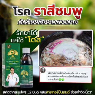 [ร้านค้าบริษัท] โดสเขียวโปร 2 แถม 1 [แถมถุงมือ] บำรุงยางพารา ฮอร์โมนพืช เร่งใบ เร่งต้น เร่งนํ้ายาง
