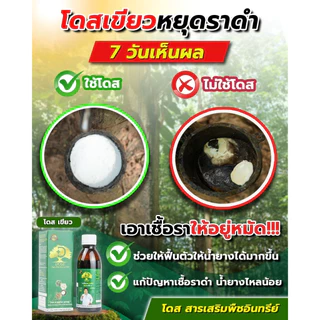 [ร้านค้าบริษัท] โดสเขียวโปร 2 แถม 1 [แถมถุงมือ] บำรุงยางพารา ฮอร์โมนพืช เร่งใบ เร่งต้น เร่งนํ้ายาง