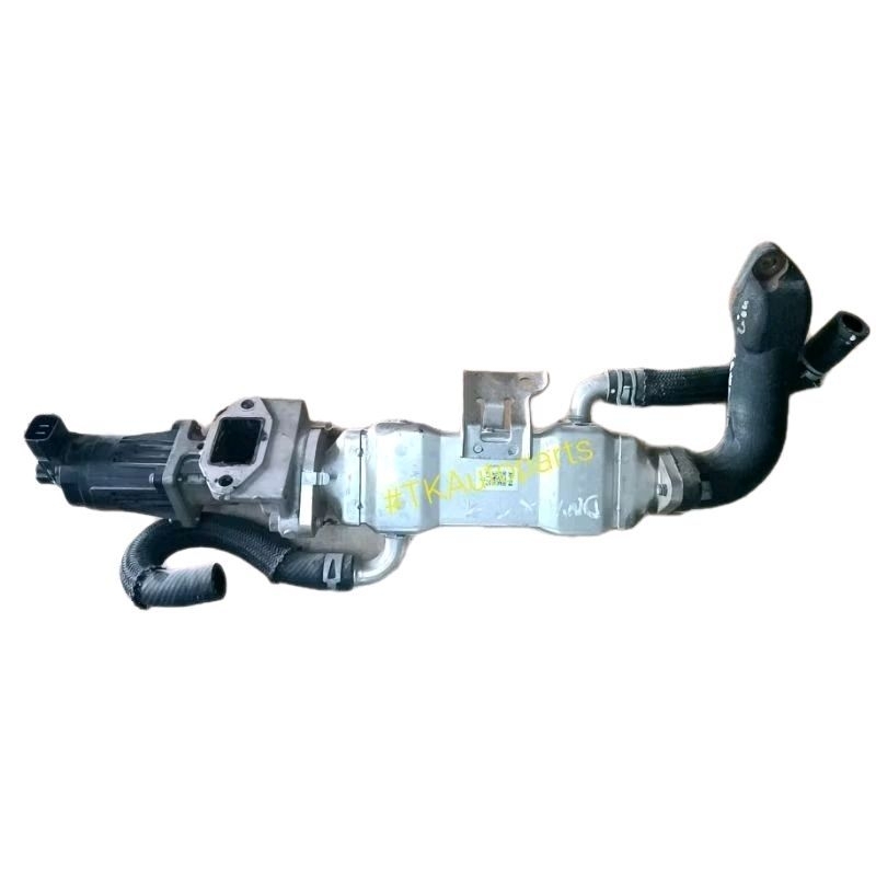 Egr​ Dmax​ Y2019 1.9