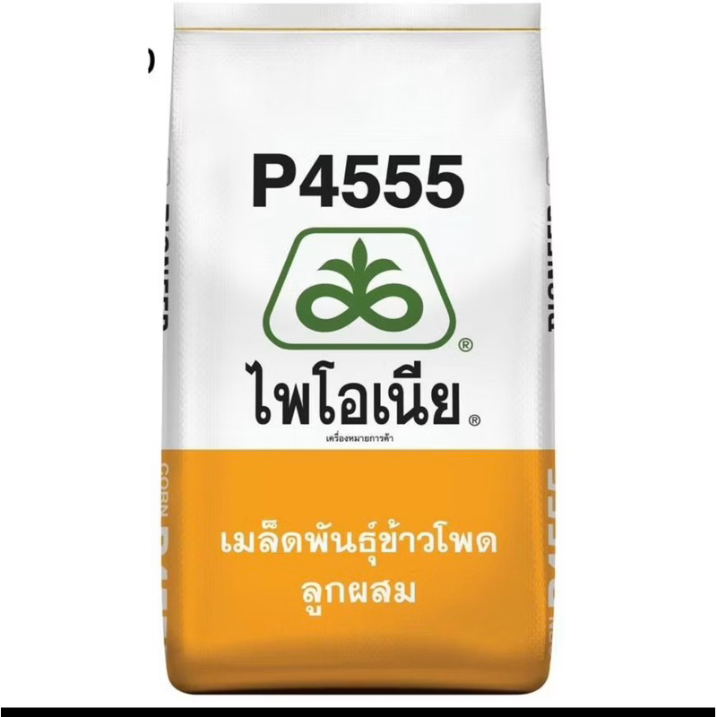 เมล็ดพันธุ์ข้าวโพด ไพโอเนีย P4555