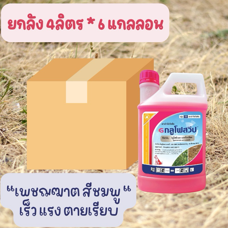 (ยกลัง) กลูโฟสวีป  ขนาด 4 ลิตร*6 แกลลอน