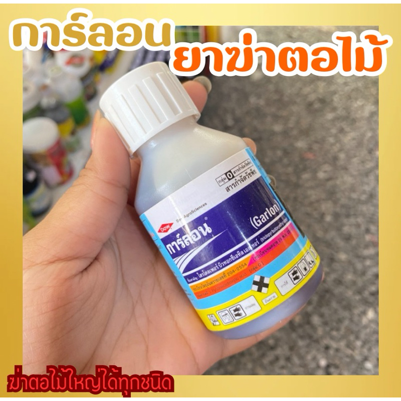 การ์ลอน ยาฆ่าตอไม้ ตอไม้ใหญ่ได้ทุกชนิด