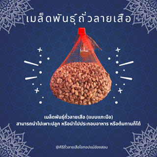 เมล็ดพันธุ์ถั่วลายเสือดิบ เหมาะสำหรับนำไปปลูกหรือนำไปประกอบอ…