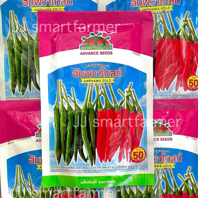 อัมพวาโกลด์ 5,20และ50 กรัม เมล็ดพริกลูกผสม ตราตะวันต้นกล้า