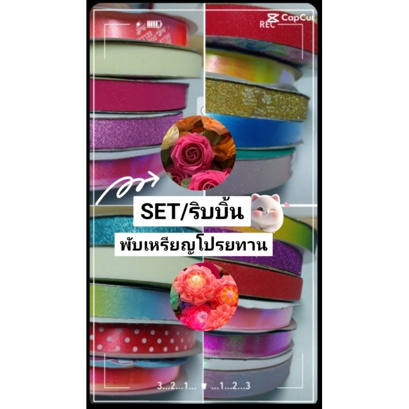 ชุดริบบิ้นพับเหรียญโปรยทาน