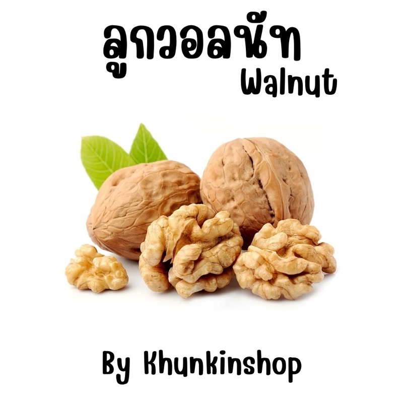 วอลนัท แพ็ค6ลูก เกรดAลูกใหญ่เปลือกบาง สำหรับกระต่าย หนูแฮม กระรอก และนกแก้ว นกกินพืชขนาดกลางขึ้นไป