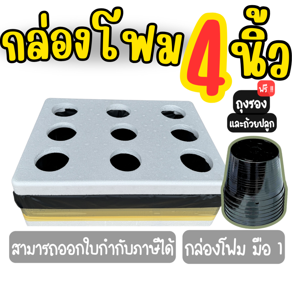 กล่องโฟมเจาะรู 4 นิ้ว พร้อมปลูก ผักไฮโดรโปนิกส์ กล่องโฟมเจาะ 4 นิ้วปลูกผักไฮโดรโปนิกส์ พร้อมถ้วยปลูก