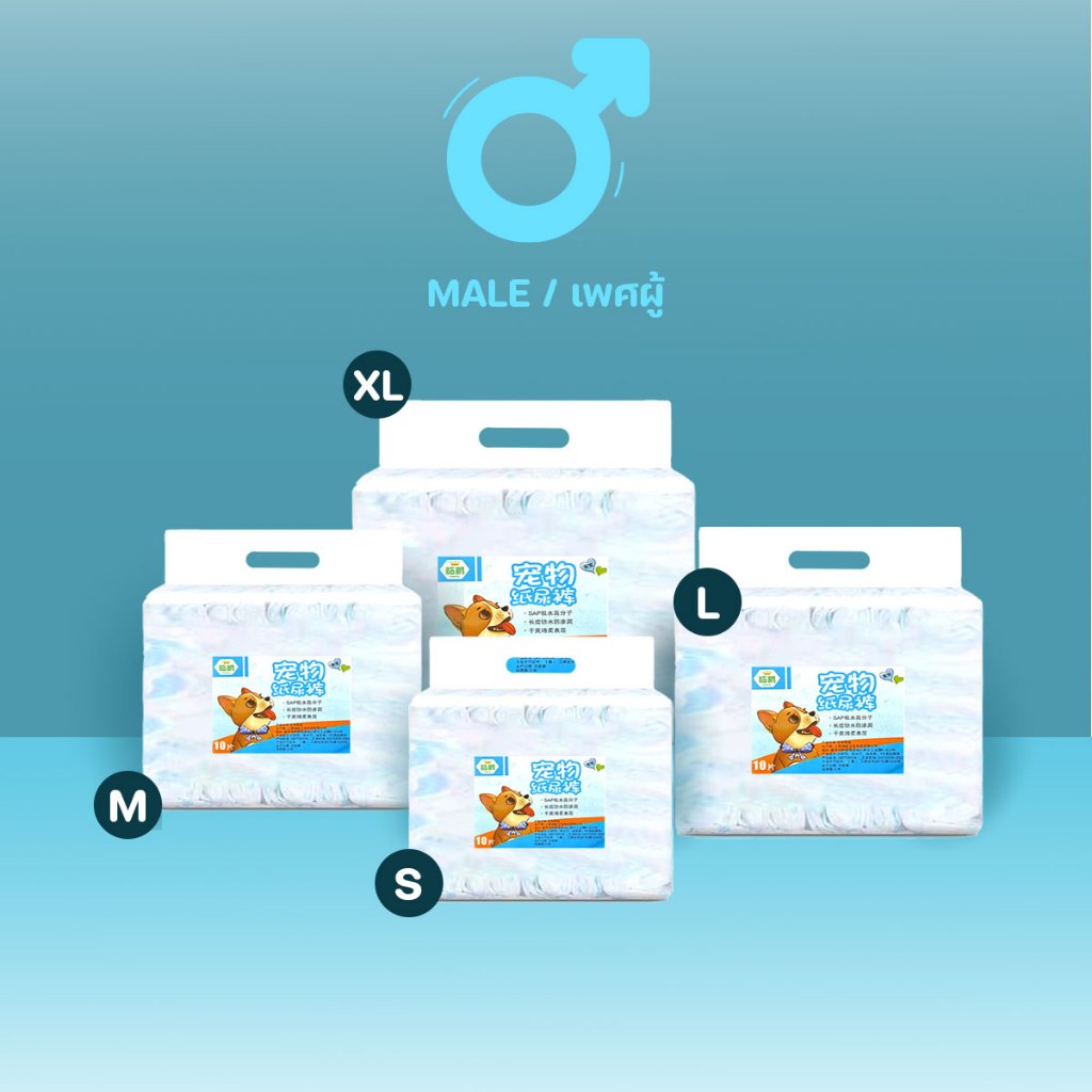 ผ้าอ้อมสุนัข ผ้าอ้อมสัตว์เลี้ยง 10 ชิ้น ดูดซึมซับได้ดี ช่วยฝึกขับถ่ายสุนัข สำหรับตัวผู้ ขนาด S/M/L/XL พร้อมส่งจากรังสิต - รูปที่ 4