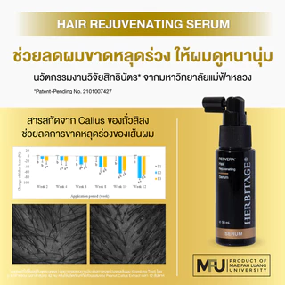 HERBITAGE RESVERA' Hair Rejuvenating Set เซรั่ม + แชมพูบำรุง ลดผมขาดหลุดร่วง ( LH )