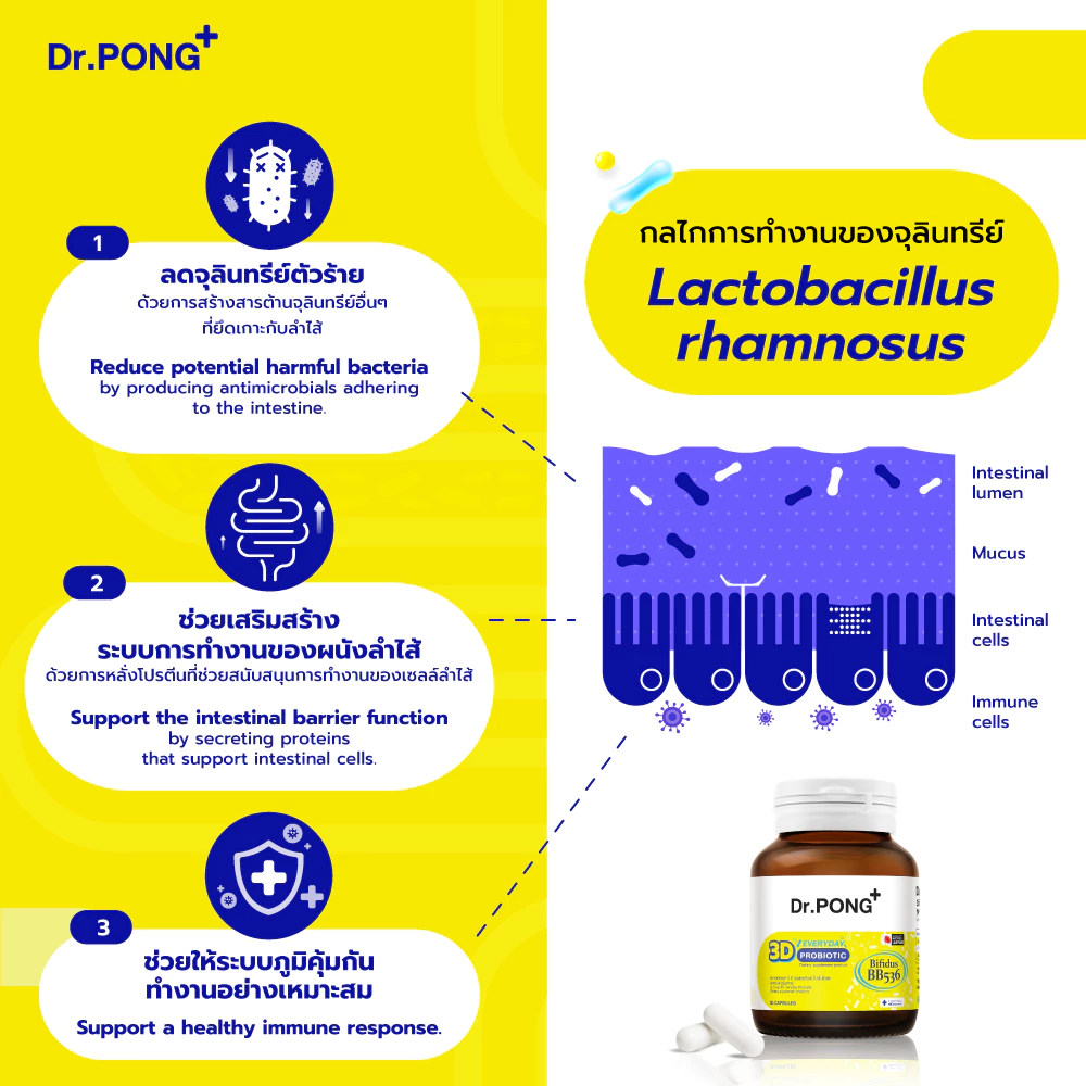[ช้อปครบ รับฟรี]  Dr.PONG 3D EVERYDAY PROBIOTIC ปรับสมดุลลำไส้ บำรุงผิว เสริมระบบภูมิคุ้มกัน thumbnail 7