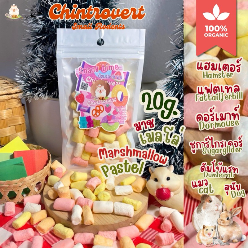 Chintrovert ✨| Marshmallow Pastel มาชเมลโล่พาสเทล 20g. | แฮมเตอร์ แฟตเทล ดอร์เมาท์ ชูการ์ไกร์เดอร์