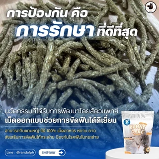 Bunny Care อาหารกระต่าย วัยโต แบรนด์แรนดอล์ฟ (Randolph)