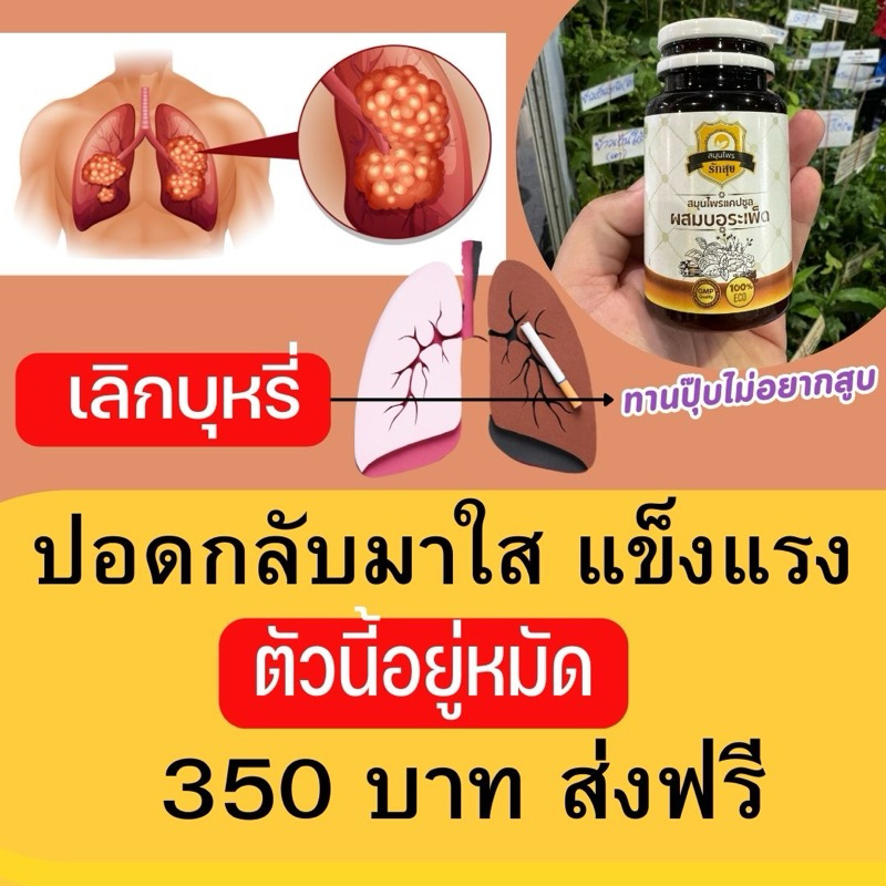 รักสุข<เลิกบุหรี่>แคปซูลผสมบอระเพ็ดส่งฟรี!