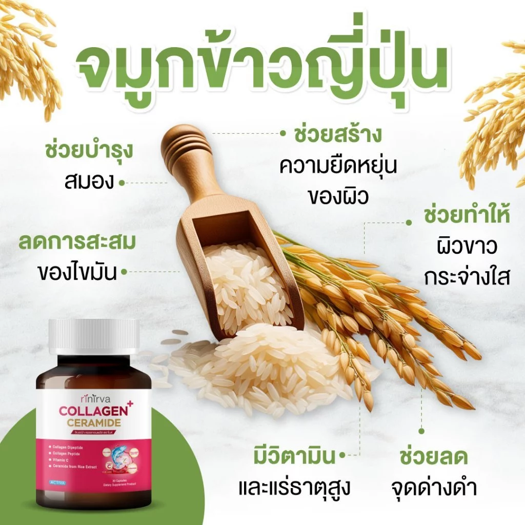Rinirva Collagen+Ceramide ริเนอร์ว่าคอลลาเจน บำรุงผิวขาวใส มุสลิมทานได้ 4 กระปุก thumbnail 8