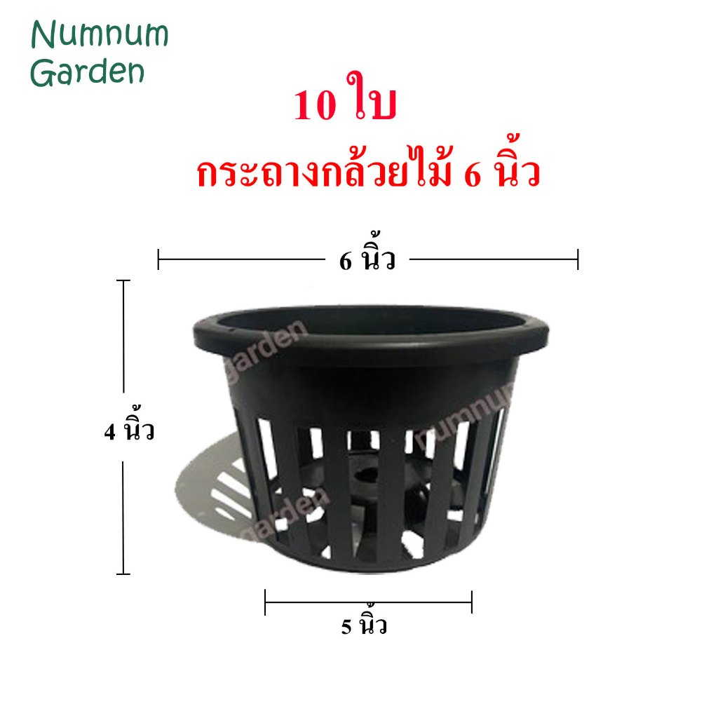 10 ใบ กระถางกล้วยไม้ 6 นิ้ว กระเช้ากล้วยไม้ กระเช้า กระถางพลาสติก มีรูระบายน้ำรอบ ทำจากพลาสติกเกรด A