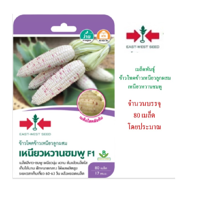 5 ฟรี 1 คละได้ทั้งร้าน เมล็ดพันธุ์ ข้าวโพด เหนียวหวานชมพู F1 ศรแดง