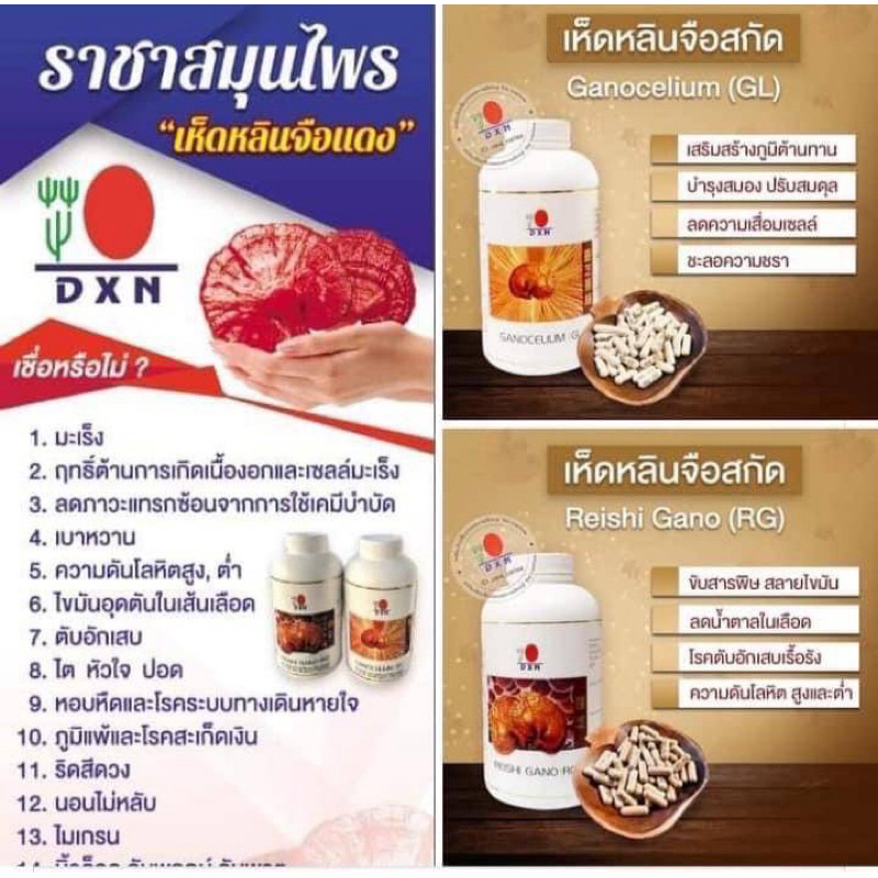 ซื้อเป็นคู่ถูกกว่า🌟DXN เห็ดหลินจือสกัดในรูปแคปซูล ซื้อแยกหรือเป็นเซ็ทคู่ RG+GL คู่จิ๋ว30*30 คู่กลาง90*90 - รูปที่ 4