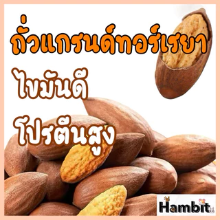 ถั่วแกรนด์ทอร์เรยา 🥜 ขนาด 10 เม็ด สำหรับสัตว์ฟันแทะสุดที่รัก 🐿️ ของว่างแสนอร่อยที่น้องๆ หลงรัก ❤️