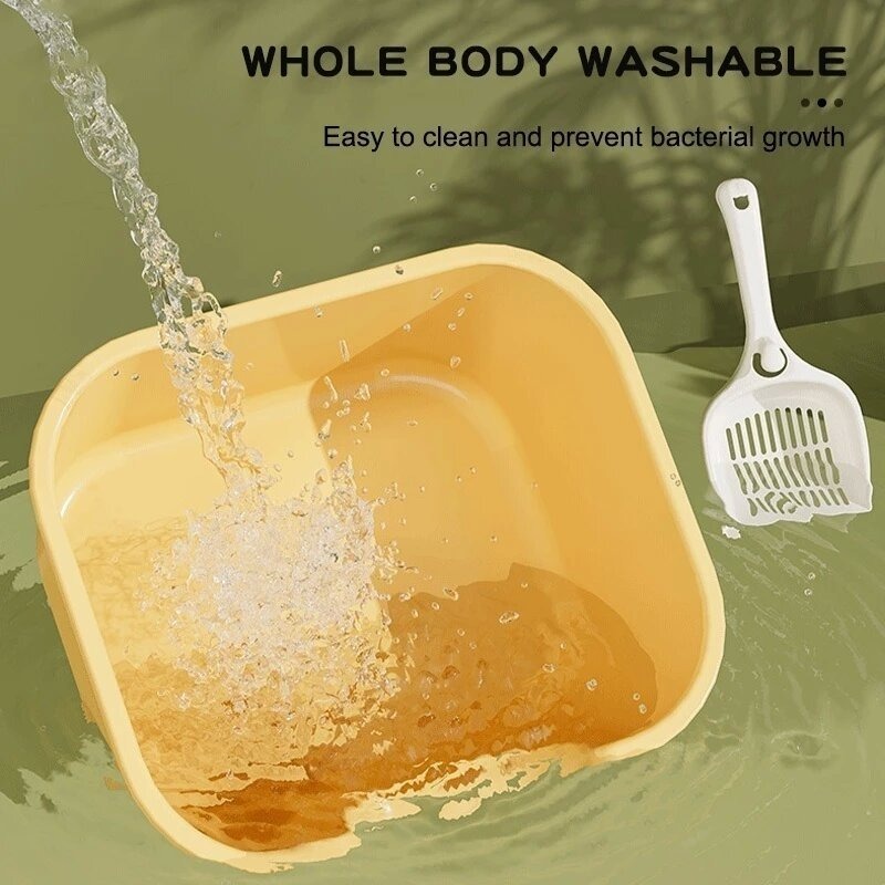 รูปภาพ 7