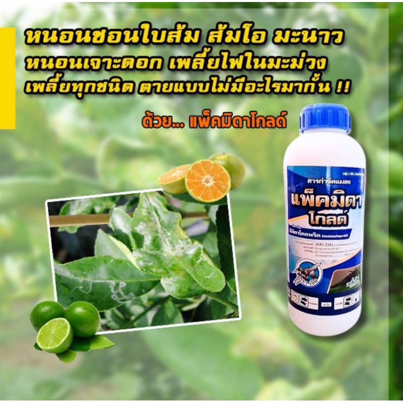 ยาหนอนชอนใบส้ม ส้มโอ ยาเพลี้ยไฟมะม่วง กำจัดเรียบ!! ตั้งแต่ต้นตอ ขนาด 1 ลิตร