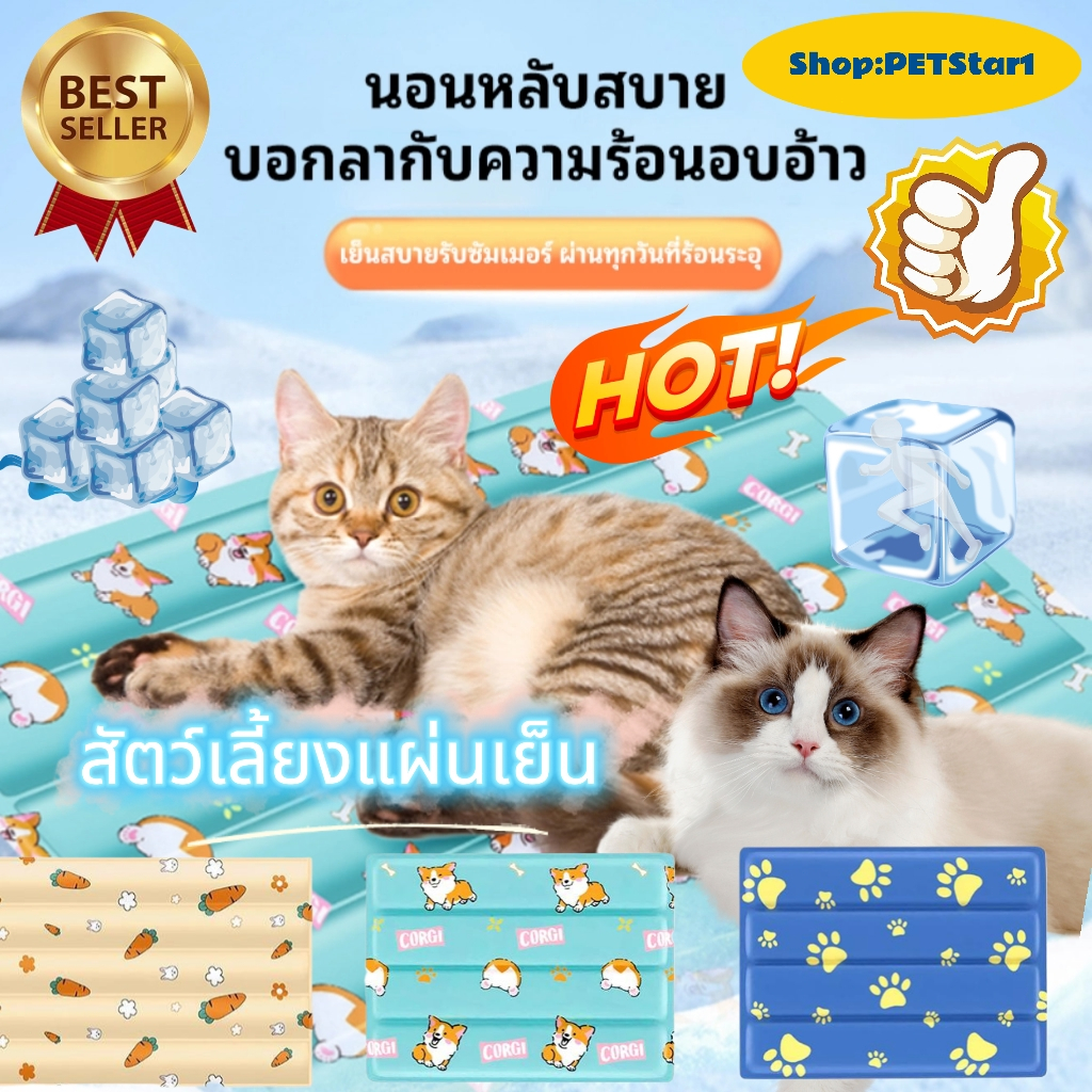 🥇แผ่นเจลเย็น🥇 เสื่อน้ำแข็งสุนัข เบาะนอนเย็น ที่นอนเจลเย็น แผ่นทำความเย็น ที่นอนสัตว์เลี้ยง หมา แมว เย็นสบาย