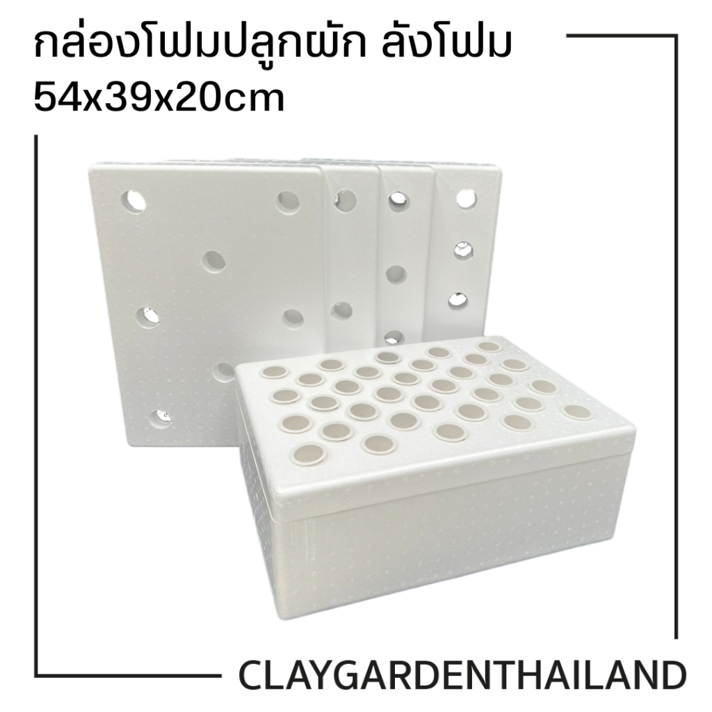 กล่องโฟมปลูกผัก กล่องโฟม ลังโฟม ปลูกผักไฮโดร กล่องใส่กุ้ง กล่องลังโฟม กล่องกุ้ง 10กก. ไฮโดรโปนิกซ์