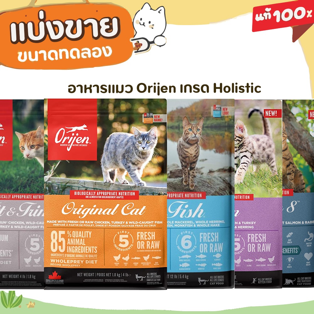 ✅แบ่งขาย✅Orijen อาหารแมว เกรดHolistic อุดมด้วยสารอาหารบำรุงกล้ามเนื้อ ผิวหนังและขนให้มีสุขภาพที่ดี