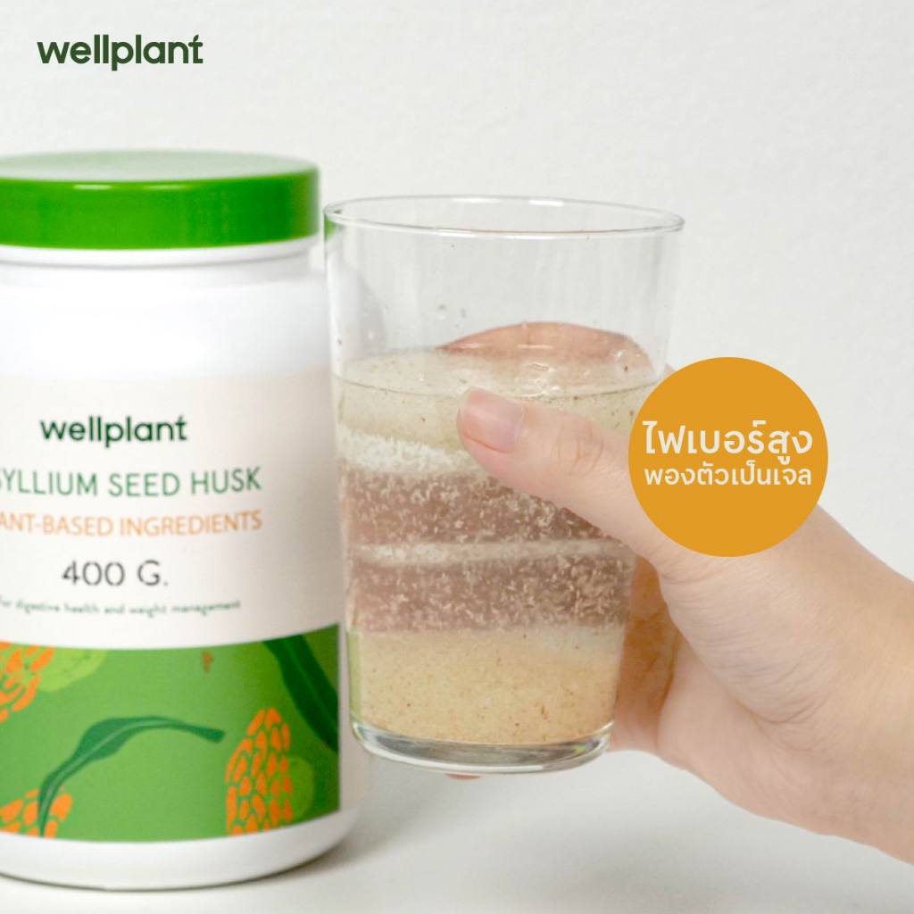 ไซเลี่ยมฮัสค์แบบเกล็ด 400 กรัม (Psyllium Husk) | wellplant - รูปที่ 2