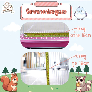 กรงชูการ์ไกลเดอร์ กระรอก นกแก้ว ทรงสูง มี 2 ชั้นลอย และถาดลิ้นชัก รหัส bb60-2 (108)