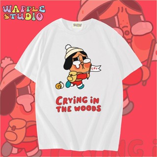 [ ส่งฟรี 🔥 ] WS0091 เสื้อยืดโอเวอร์ไซส์ เสื้อยืดเกาหลี ผ้าคอ…