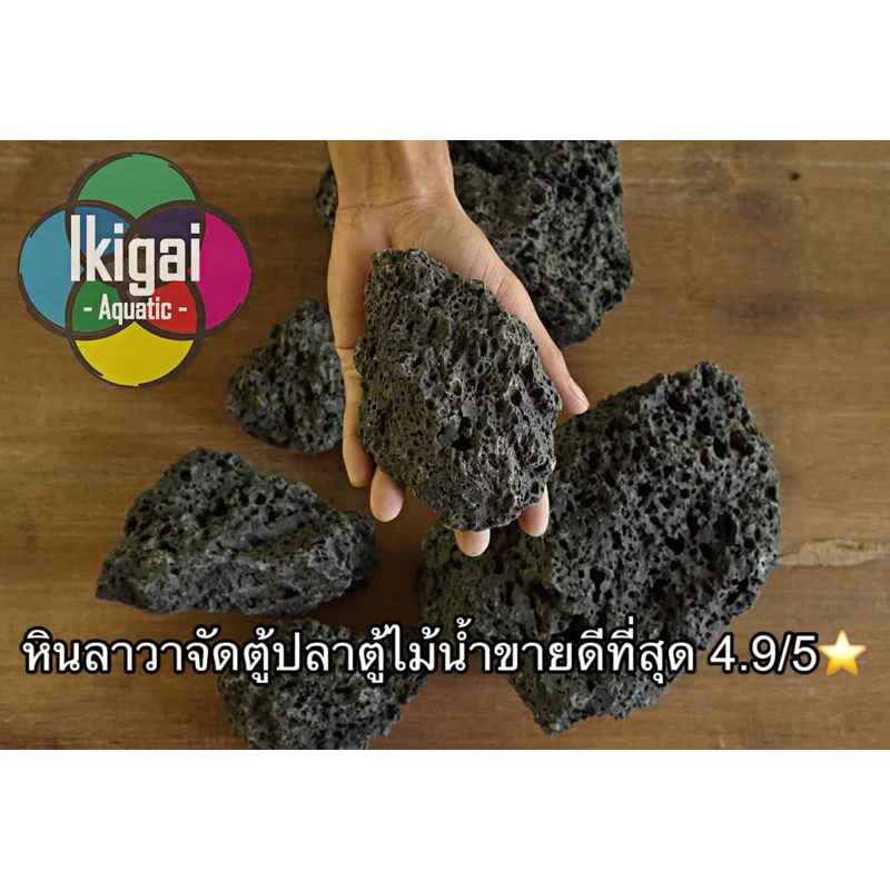 หินจัดตู้ปลา ตู้ไม้น้ำ หินลาวา Lava สร้างเลย์เอ้าท์