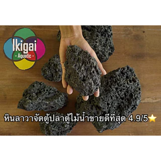 หินจัดตู้ปลา ตู้ไม้น้ำ หินลาวา Lava สร้างเลย์เอ้าท์