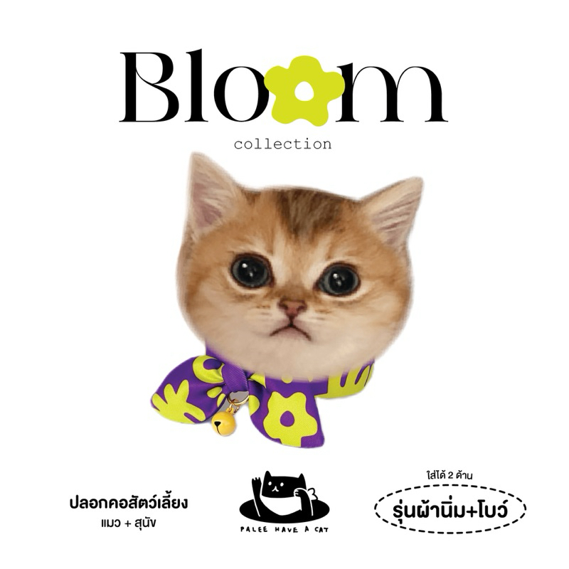 PALEE ปลอกคอแมว “รุ่นผ้านิ่ม+โบว์” [ Bloom : ม่วง-เขียว ] ผ้านิ่ม/ปักชื่อ/ใส่ได้2ด้าน/แมว สุนัข