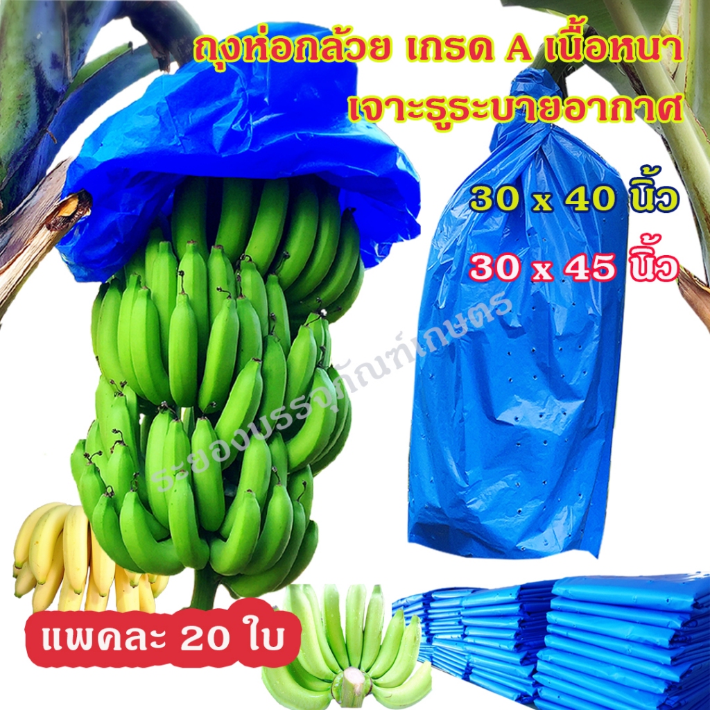 แพคละ 20 ใบ ถุงห่อกล้วย ขนาด 30x40 นิ้ว และ 30x45 นิ้ว เกรด A เนื้อหนา ใช้ซ้ำได้ ถุงห่อกล้วยหอม