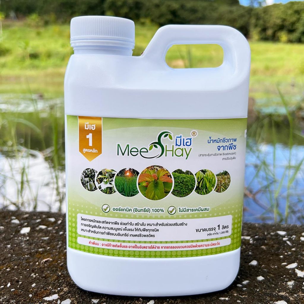 มีเฮ1 สูตรหลัก สำหรับปลูกผักทานใบ (น้ำหมักทำจากพืช)