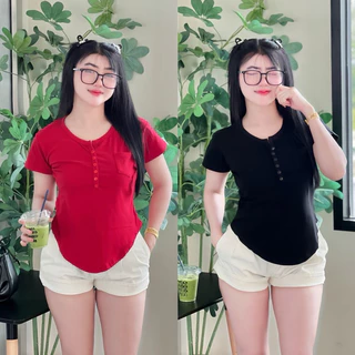 ย.07เสื้อยืดคอกระดุมผ้ายูนิโคล่เนื้อดีมี 2ไซต์ ทรงสวยสาวอวบอก40-50