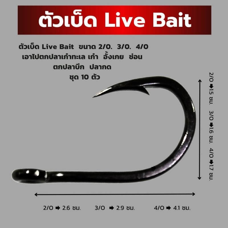 ตัวเบ็ด Live Bait 3/0.  4/0 เอาไปตกปลาเก๋าทะเล เก๋า  อั้งเกย  ช่อน  ตกปลาบึก  ปลากด