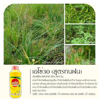 เอโซ่30 (ขวดเหลืองสูตรทนฝน) 1ลิตร (เอ็มซีพีเอ) กำจัดวัชพืช ใบกว้างและกก เก่งกกหนวดปลาดุก