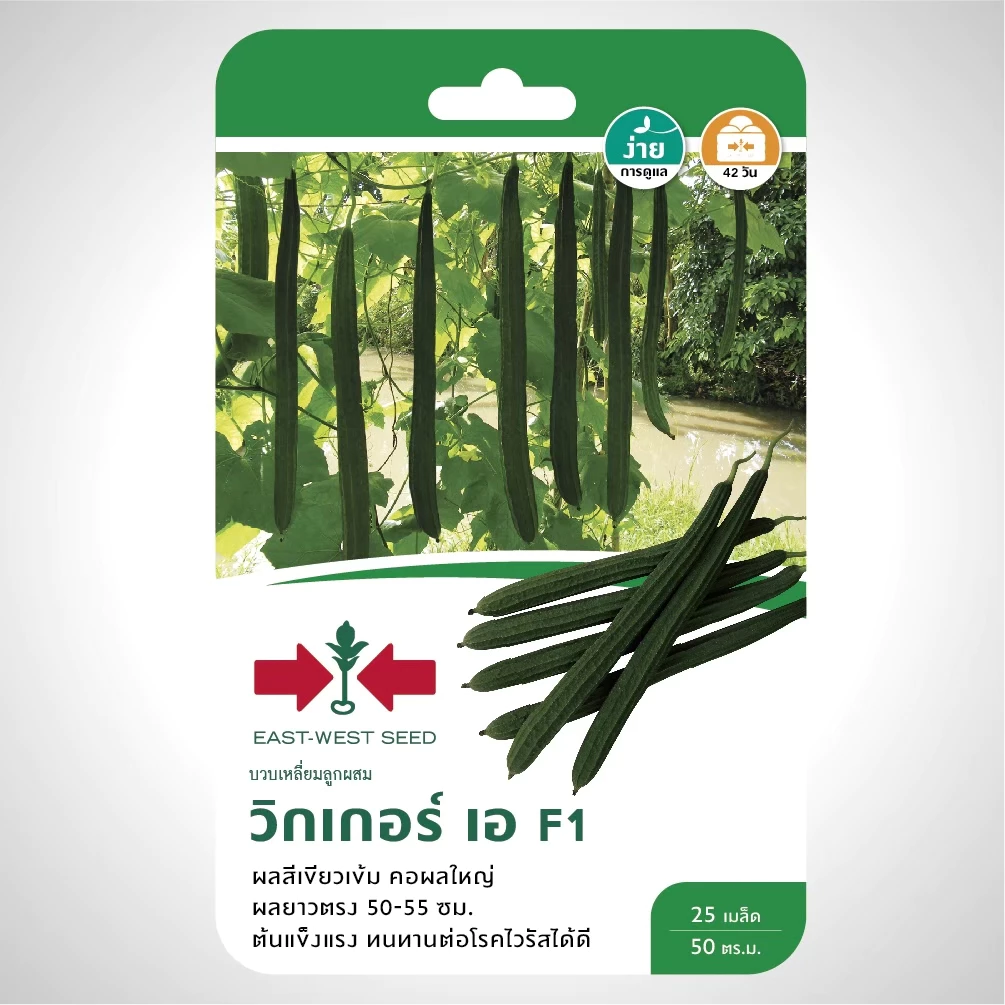 ศรแดง เมล็ดพันธุ์บวบเหลี่ยม วิกเกอร์เอ F1 (East-West Seed) เมล็ดพันธุ์ ผักสวนครัว ตราศรแดง