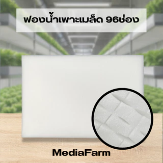 ฟองน้ำเพาะเมล็ดแบบยกห่อ100แผ่น