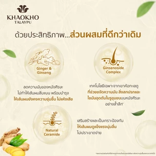 Khaokho Talaypu เขาค้อทะเลภู แชมพู สูตรโสมและขิง ช่วยลดความมันและคันหนังศีรษะ (450 มล.)